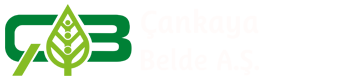 Çankaya Belde A.Ş.